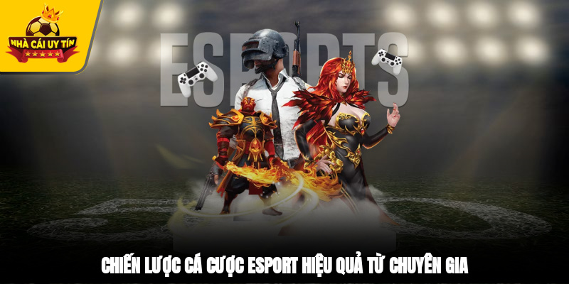 Chiến lược cá cược Esport hiệu quả từ chuyên gia