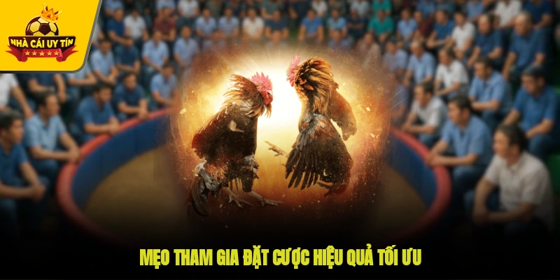 Mẹo tham gia đặt cược hiệu quả tối ưu