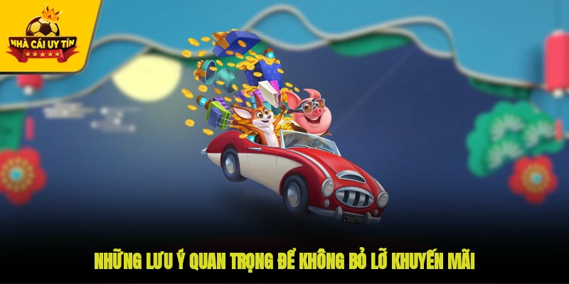 Những lưu ý quan trọng để không bỏ lỡ khuyến mãi