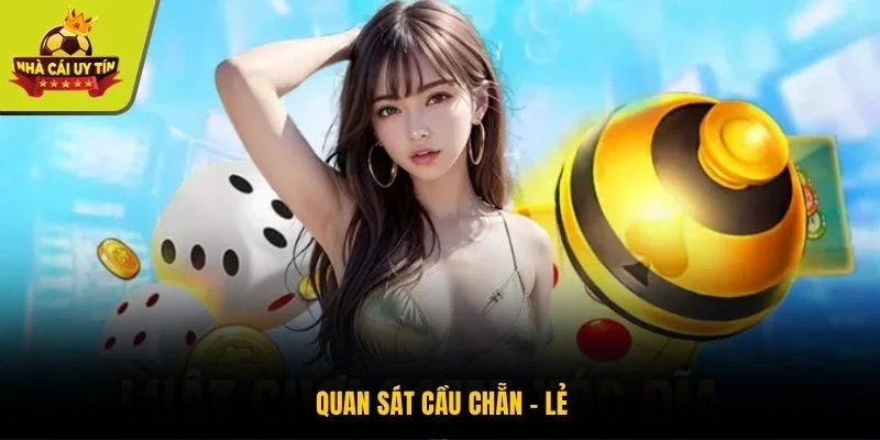 Quan sát cầu chẵn - lẻ